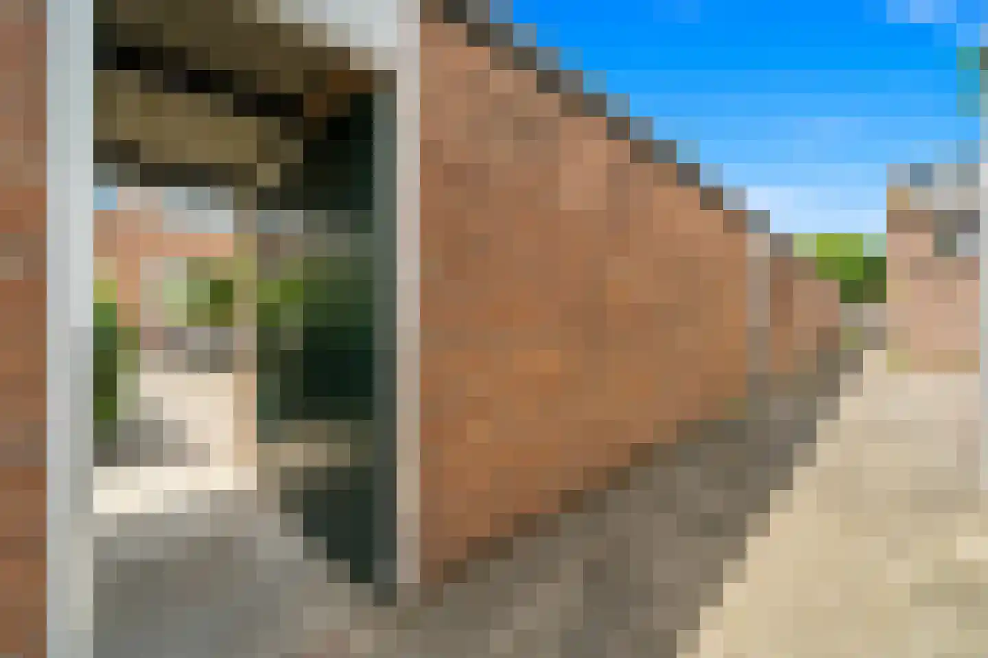 Gruttohof 7 Schipluiden thumbnail 34
