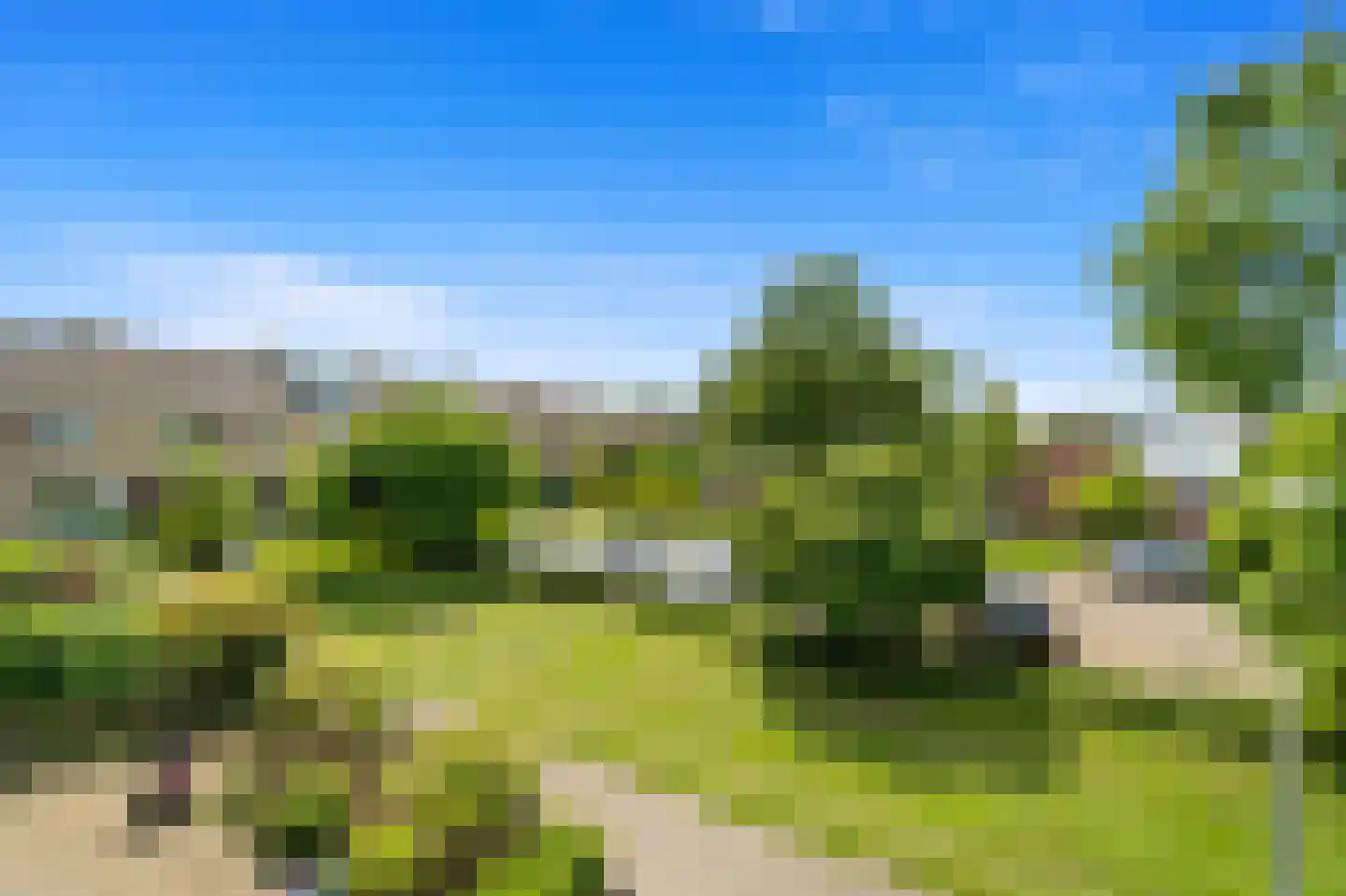 Gruttohof 7 Schipluiden thumbnail 46