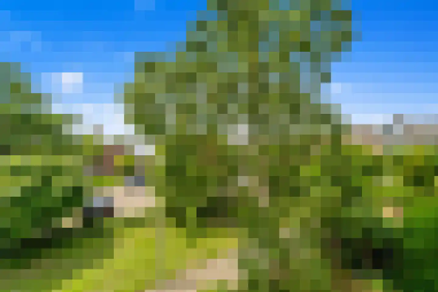 Gruttohof 7 Schipluiden thumbnail 47