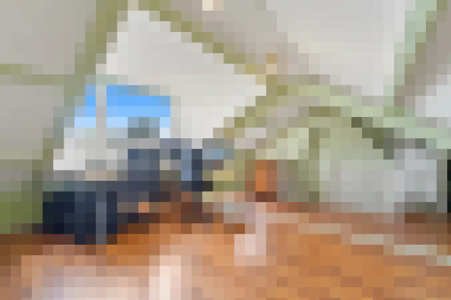 Gruttohof 7 Schipluiden thumbnail 50