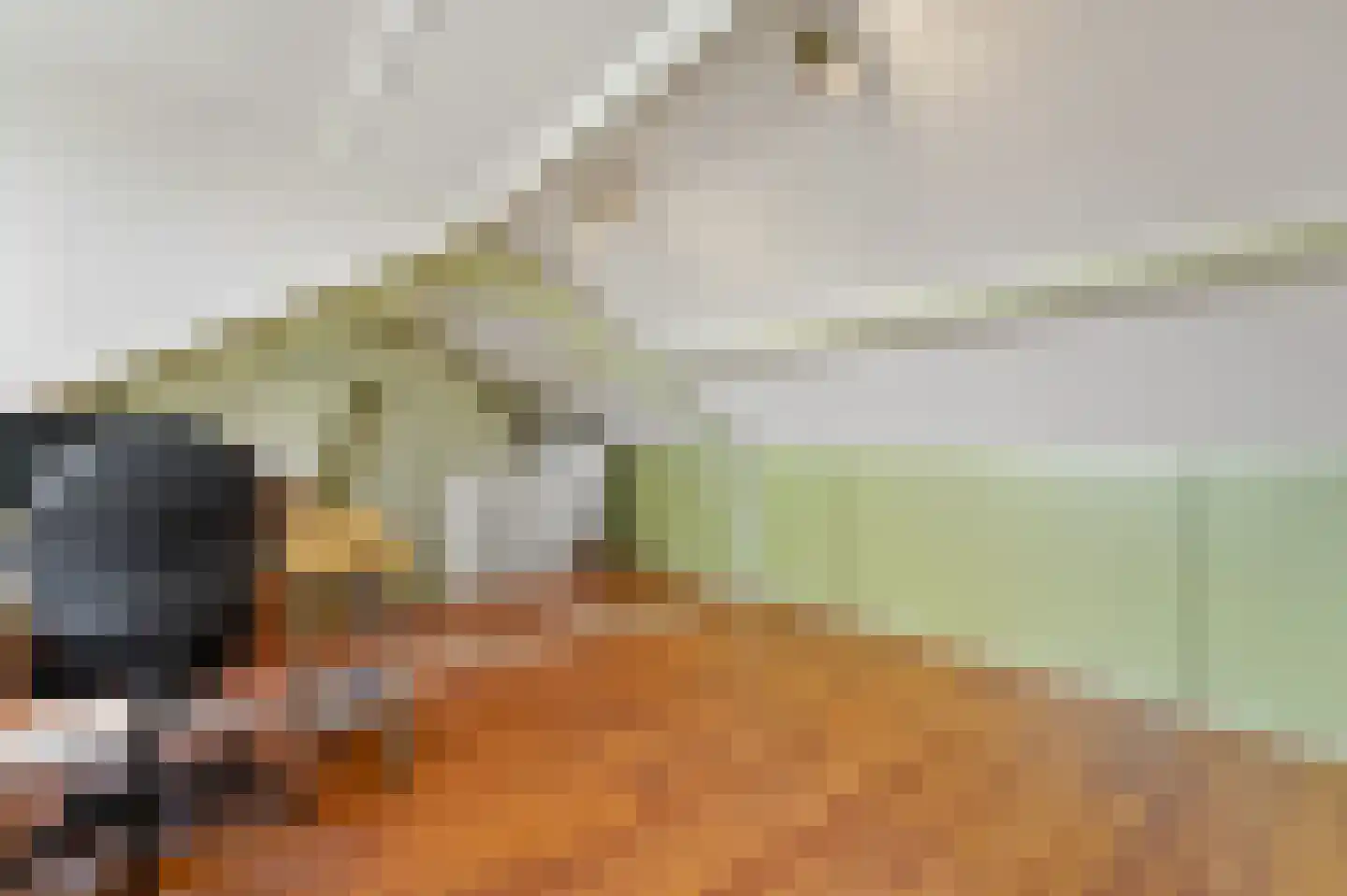 Gruttohof 7 Schipluiden thumbnail 52