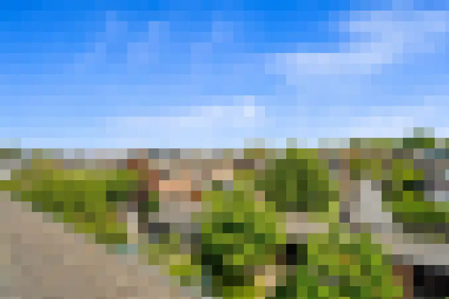 Gruttohof 7 Schipluiden thumbnail 53
