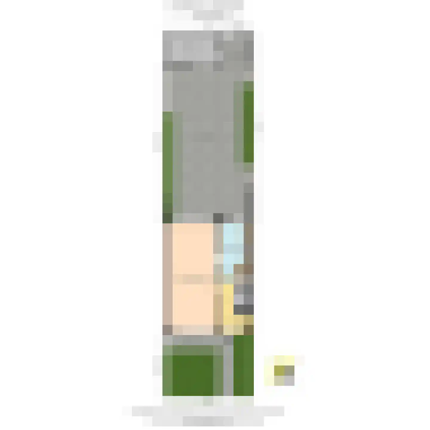 Gruttohof 7 Schipluiden thumbnail 67