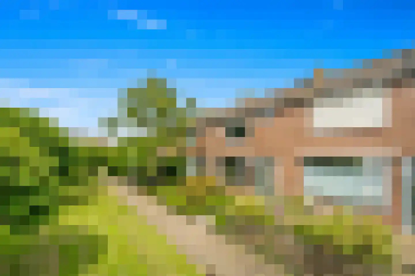 Gruttohof 7 Schipluiden thumbnail 8