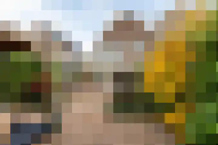 Gruttohof 8 Moordrecht thumbnail 43