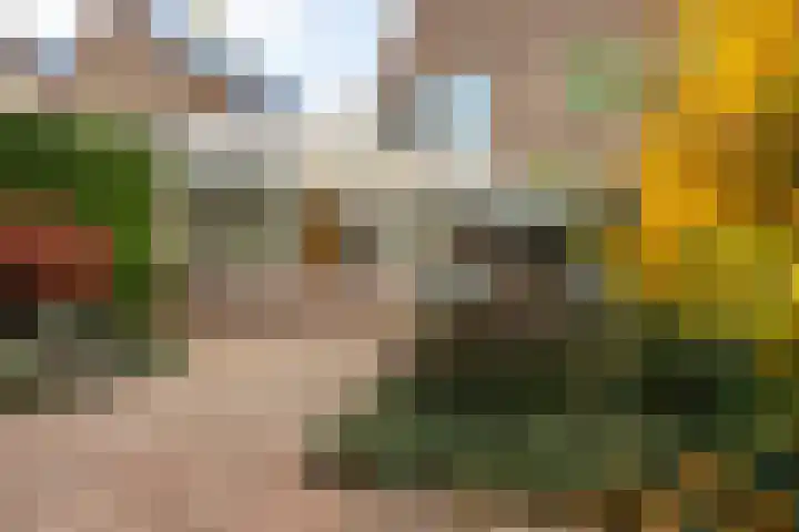 Gruttohof 8 Moordrecht thumbnail 44