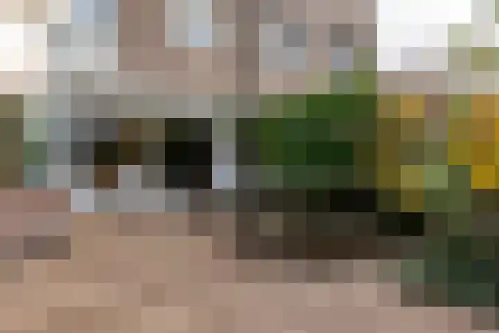 Gruttohof 8 Moordrecht thumbnail 45