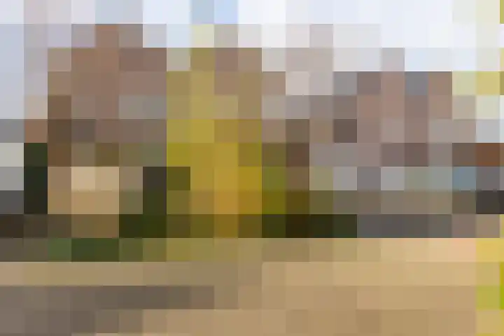 Gruttohof 8 Moordrecht thumbnail 49