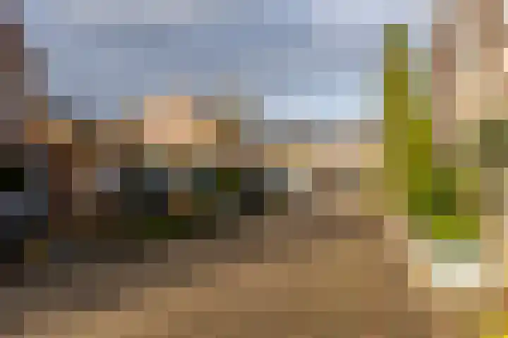 Gruttohof 8 Moordrecht thumbnail 50