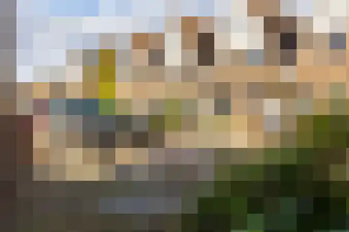 Gruttohof 8 Moordrecht thumbnail 51