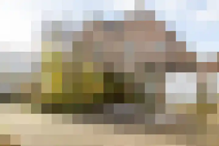 Gruttohof 8 Moordrecht thumbnail 6