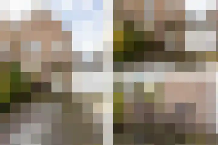 Gruttohof 8 Moordrecht thumbnail 7