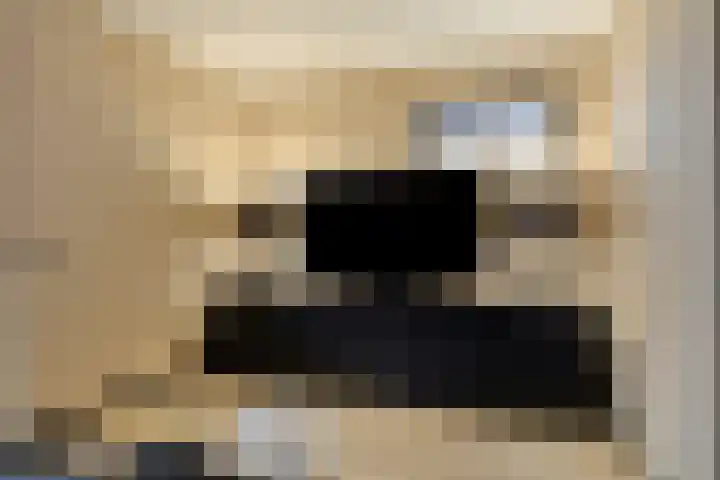 Gruttohorst 6 Grave thumbnail 10