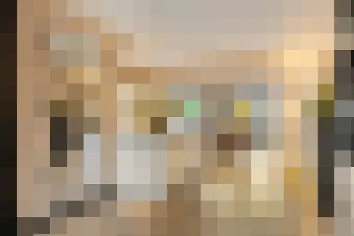 Gruttohorst 6 Grave thumbnail 12