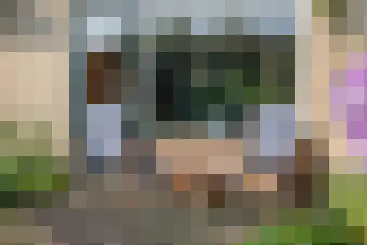 Gruttohorst 6 Grave thumbnail 13