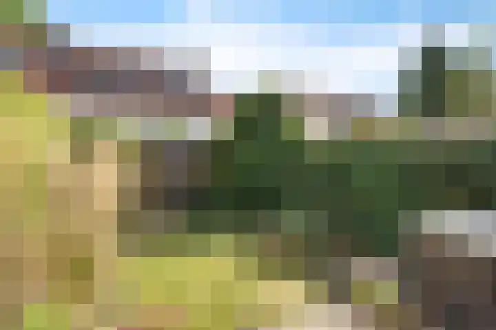 Gruttohorst 6 Grave thumbnail 16