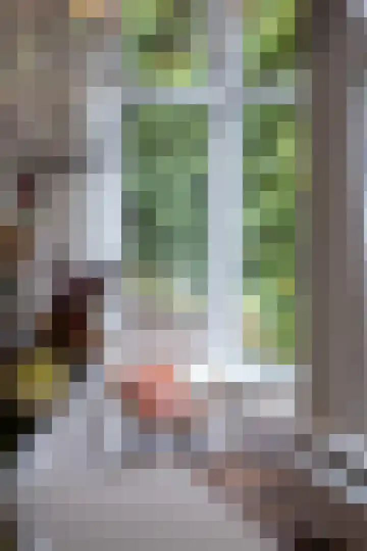 Gruttohorst 6 Grave thumbnail 21