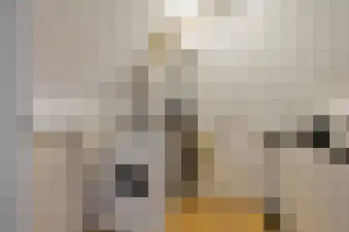 Gruttohorst 6 Grave thumbnail 30