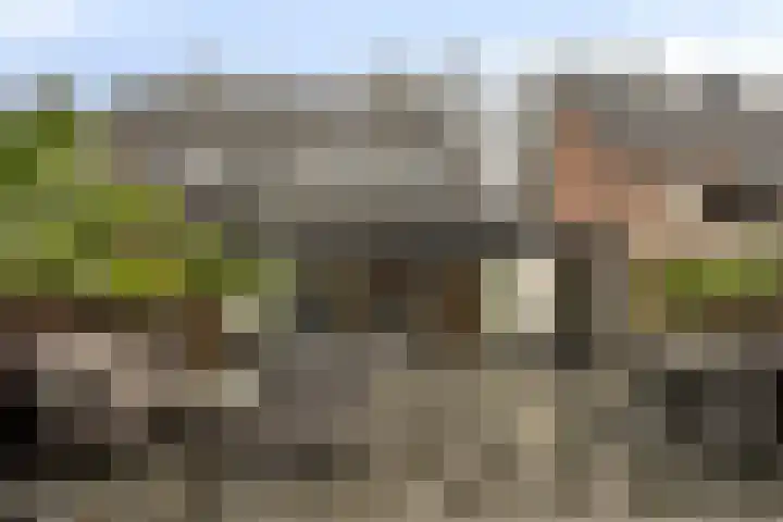 Gruttohorst 6 Grave thumbnail 35