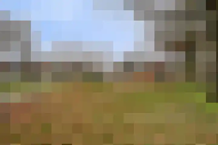 Gruttohorst 6 Grave thumbnail 36
