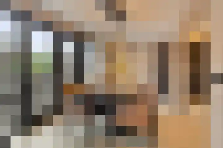 Gruttohorst 6 Grave thumbnail 4