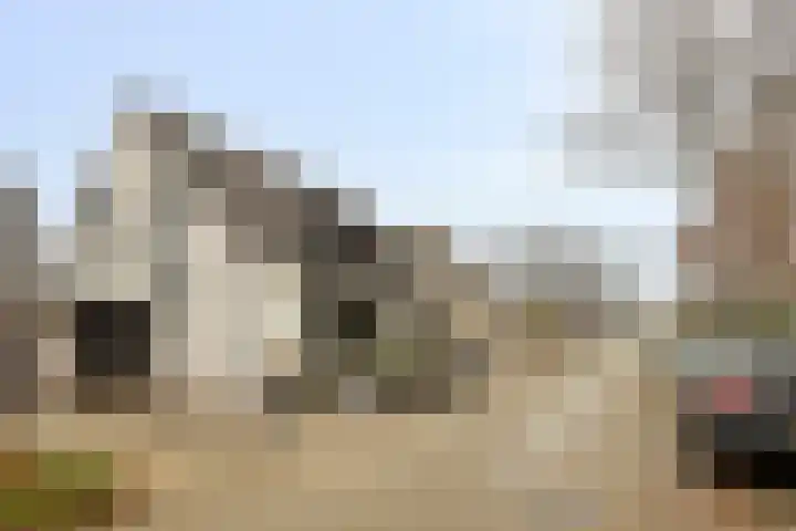 Gruttohorst 6 Grave thumbnail 6