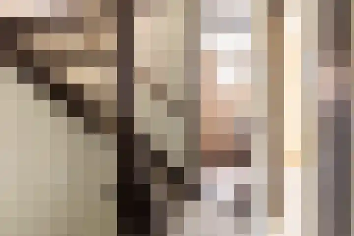 Gruttohorst 6 Grave thumbnail 9