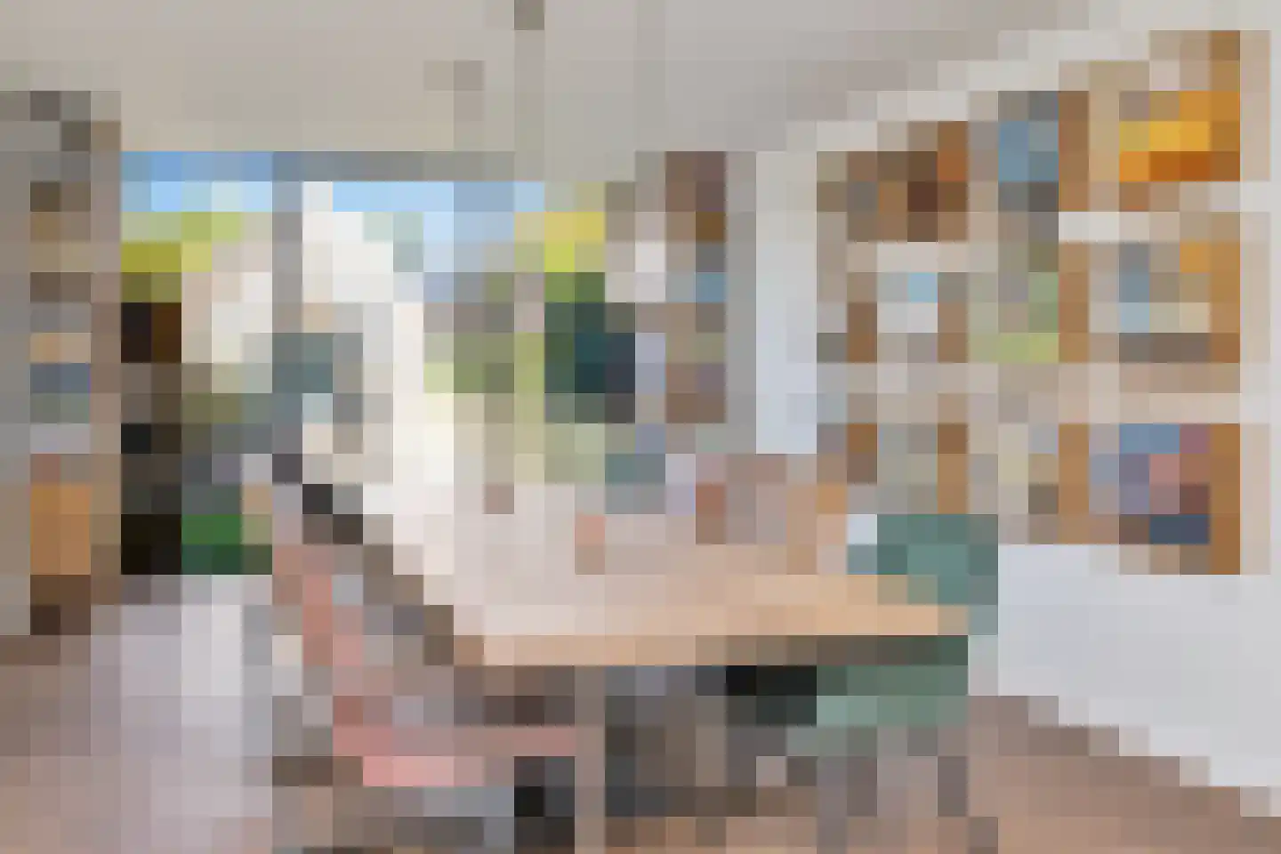Gruttolaan 109 Schagen thumbnail 12