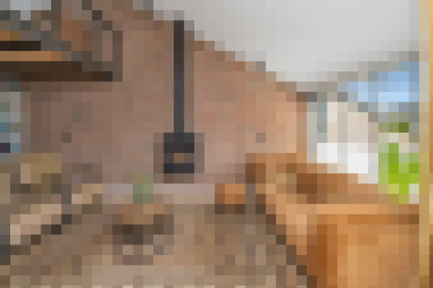 Gruttolaan 109 Schagen thumbnail 19