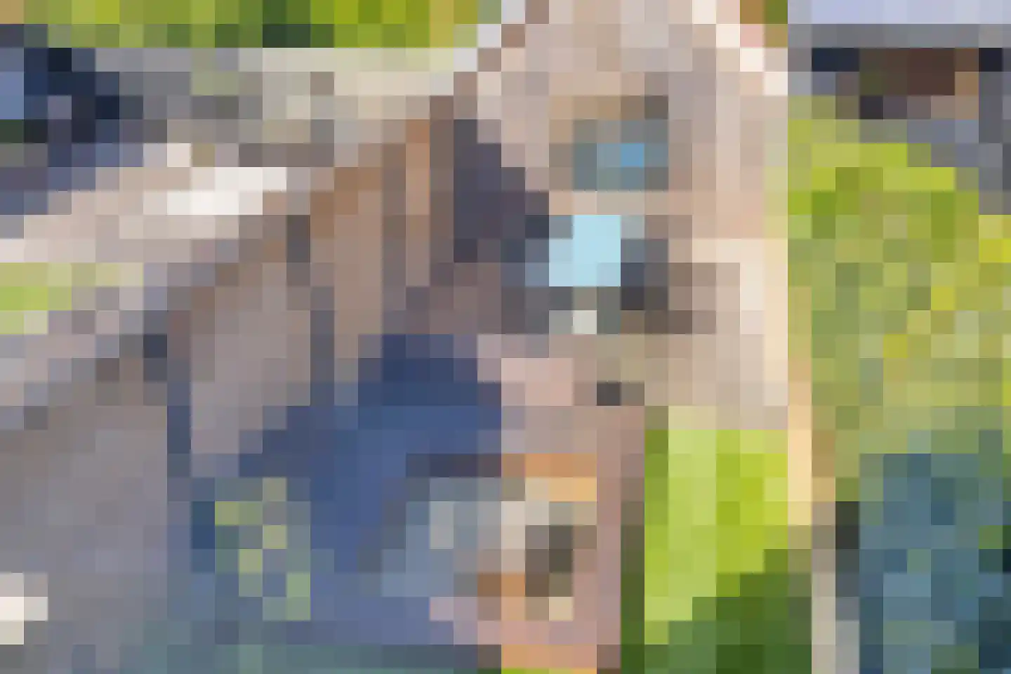 Gruttolaan 109 Schagen thumbnail 31