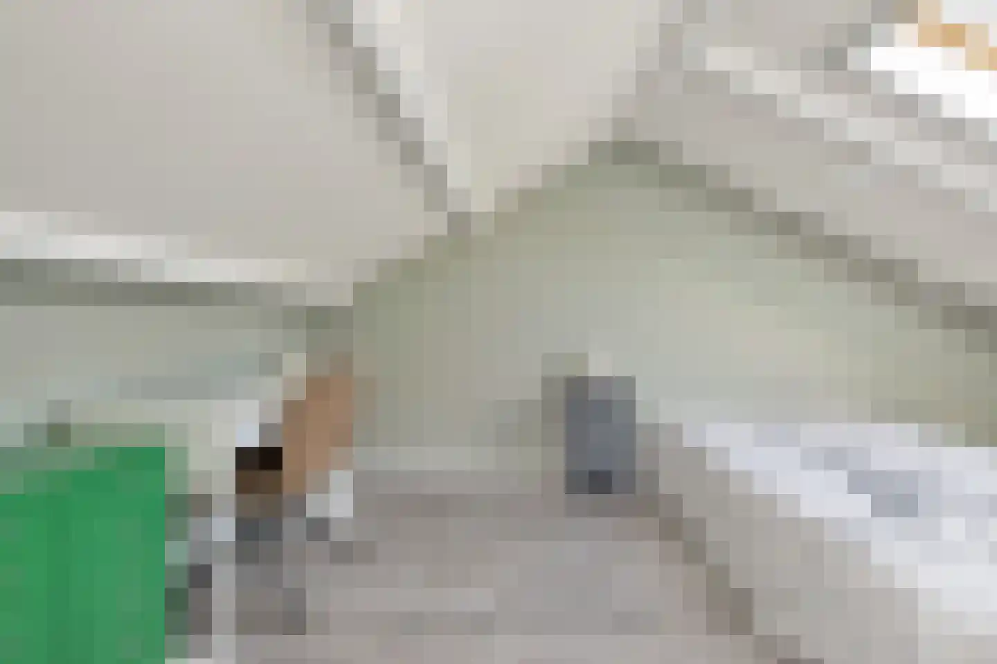 Gruttolaan 109 Schagen thumbnail 39
