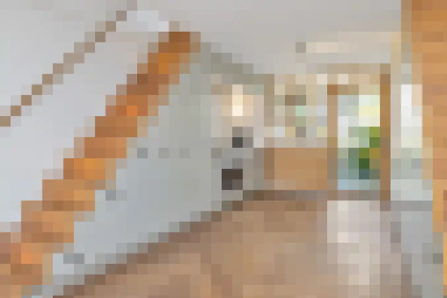 Gruttolaan 109 Schagen thumbnail 9