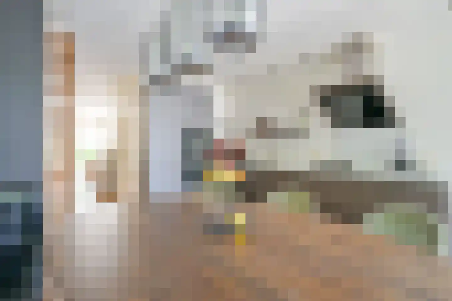 Gruttolaan 111 Schagen thumbnail 20