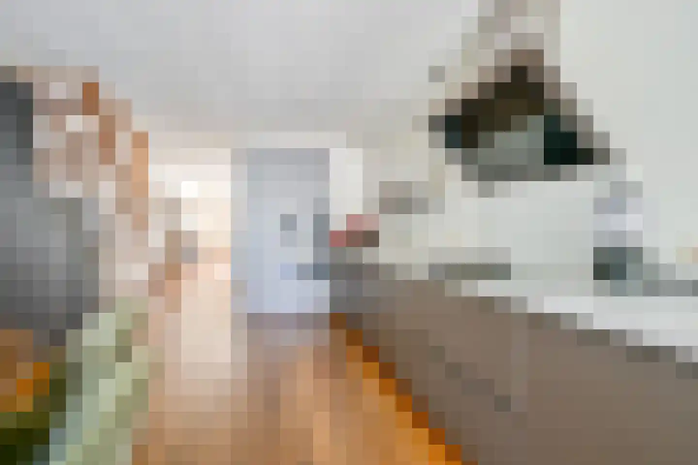Gruttolaan 111 Schagen thumbnail 21
