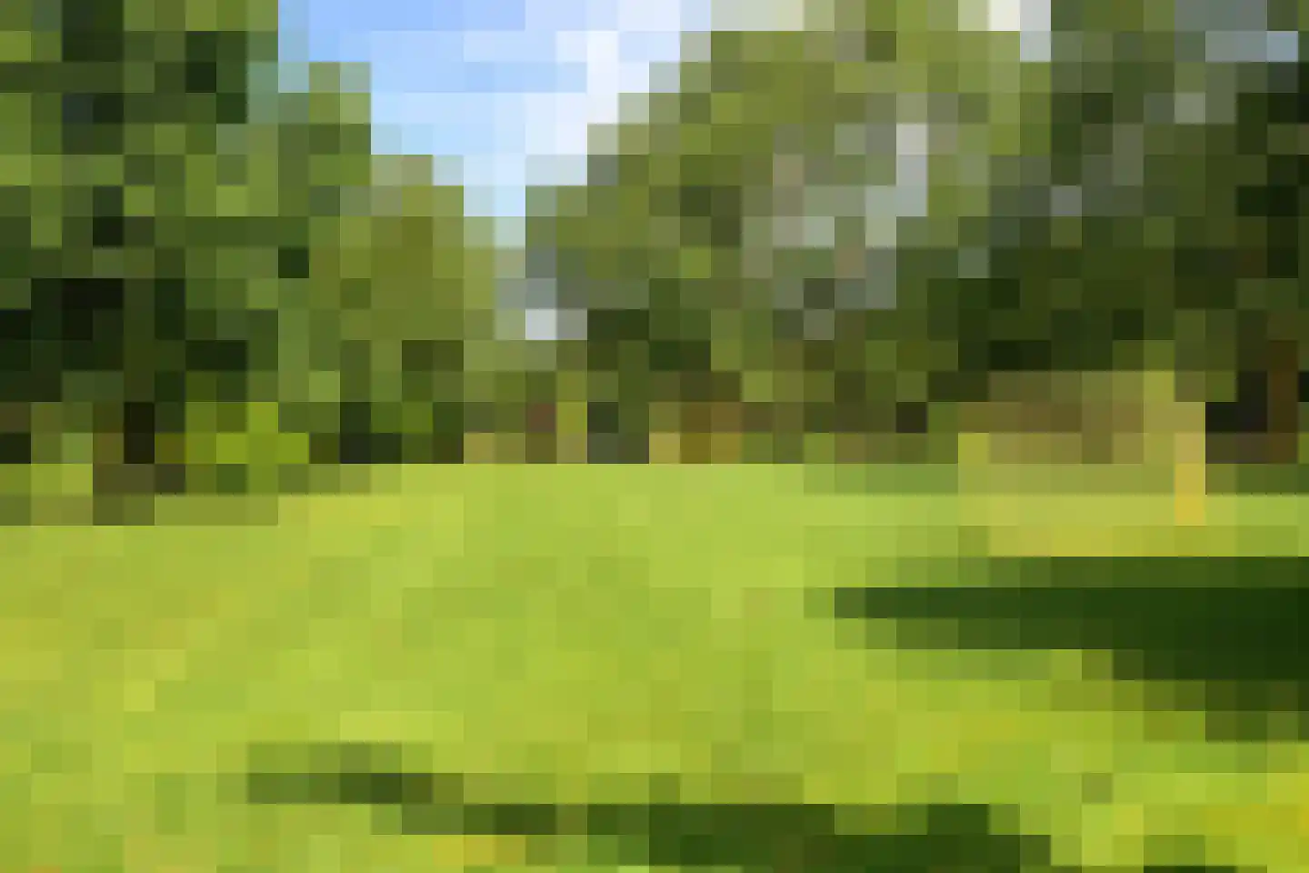 Gruttolaan 111 Schagen thumbnail 37