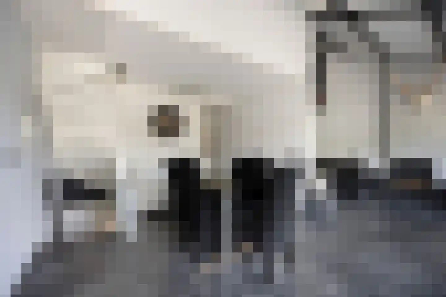 Gruttolaan 133 Schagen thumbnail 11