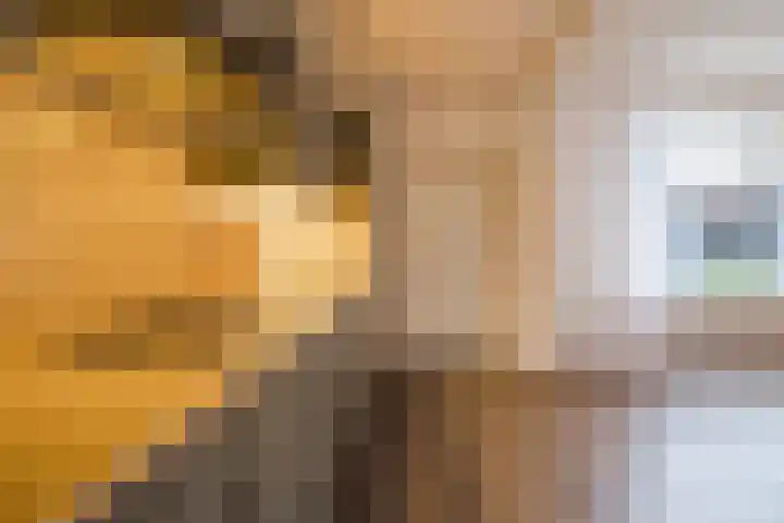 Gruttolaan 15 Wieringerwaard thumbnail 17