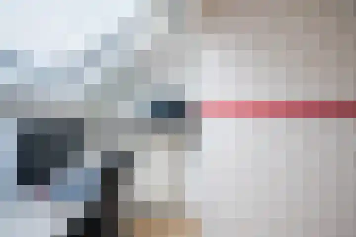 Gruttolaan 15 Wieringerwaard thumbnail 30