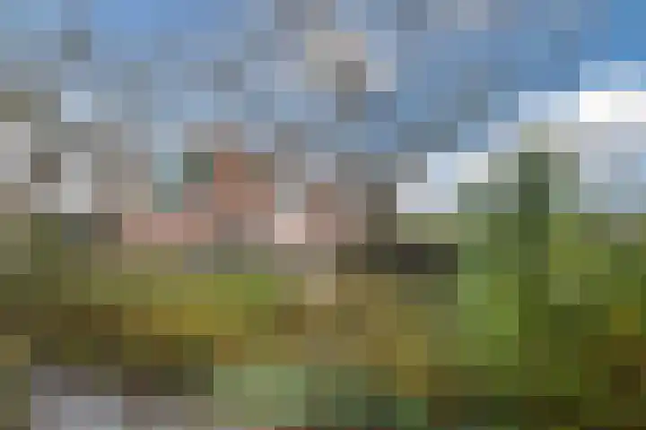 Gruttolaan 15 Wieringerwaard thumbnail 41