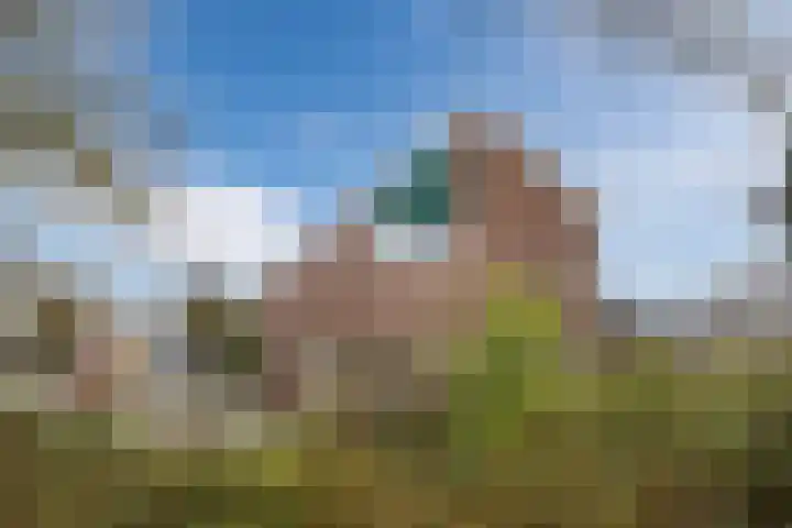 Gruttolaan 15 Wieringerwaard thumbnail 42