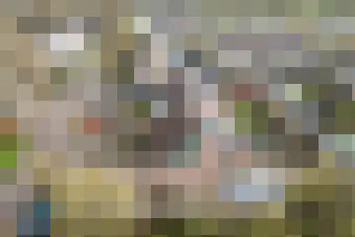 Gruttolaan 15 Wieringerwaard thumbnail 45