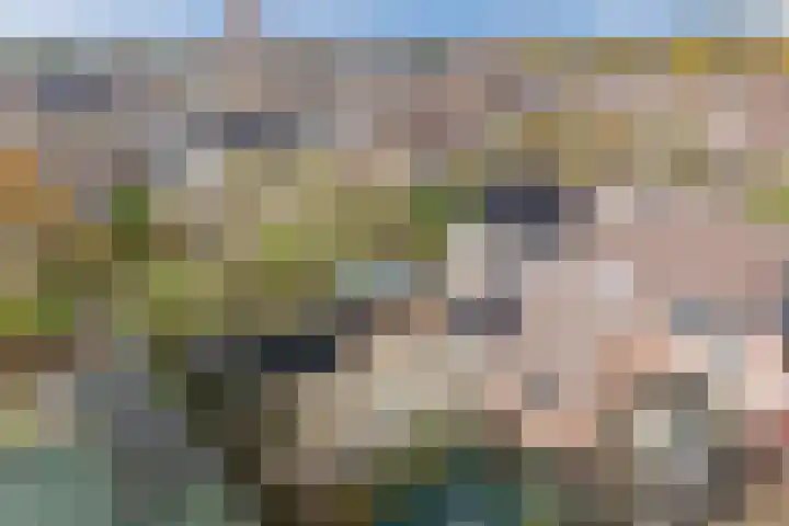 Gruttolaan 15 Wieringerwaard thumbnail 47