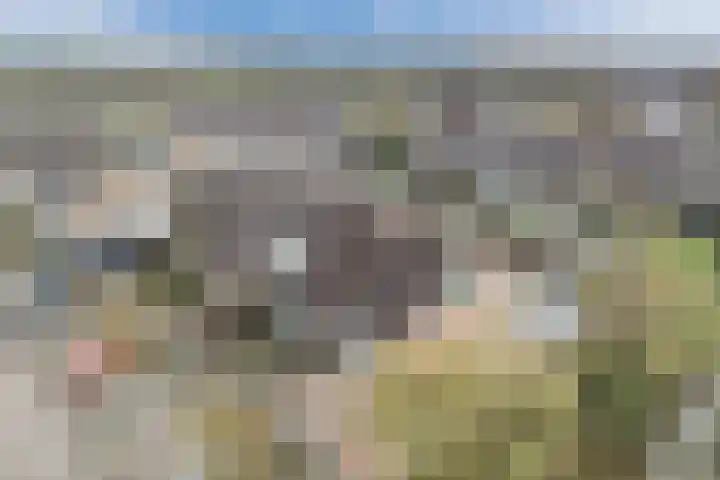 Gruttolaan 15 Wieringerwaard thumbnail 5