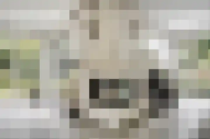 Gruttolaan 19 Koudekerk aan den Rijn thumbnail 11