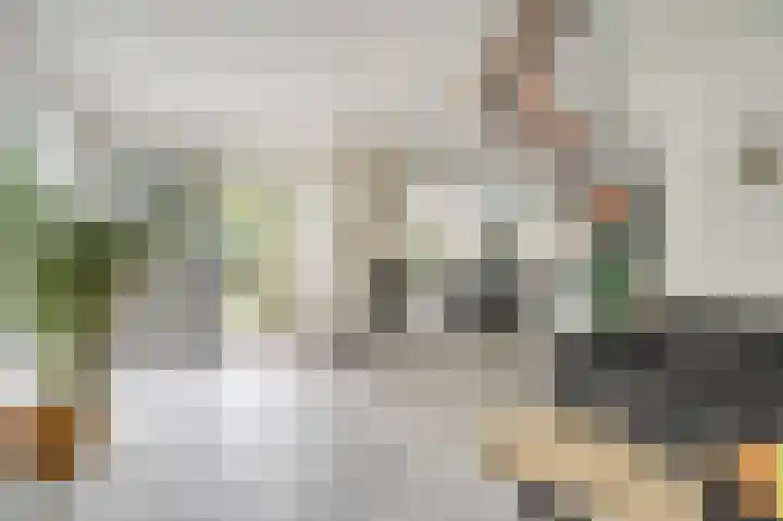 Gruttolaan 19 Koudekerk aan den Rijn thumbnail 12