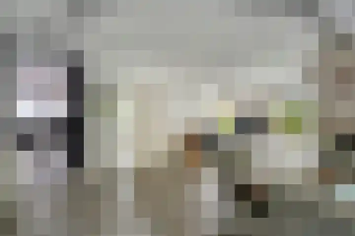 Gruttolaan 19 Koudekerk aan den Rijn thumbnail 13