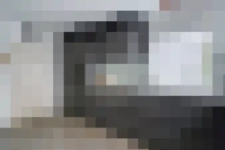 Gruttolaan 19 Koudekerk aan den Rijn thumbnail 17