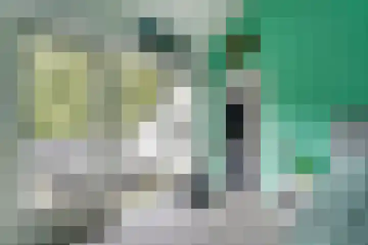 Gruttolaan 19 Koudekerk aan den Rijn thumbnail 23
