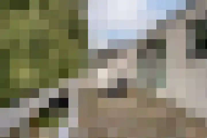 Gruttolaan 19 Koudekerk aan den Rijn thumbnail 24