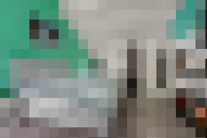 Gruttolaan 19 Koudekerk aan den Rijn thumbnail 25